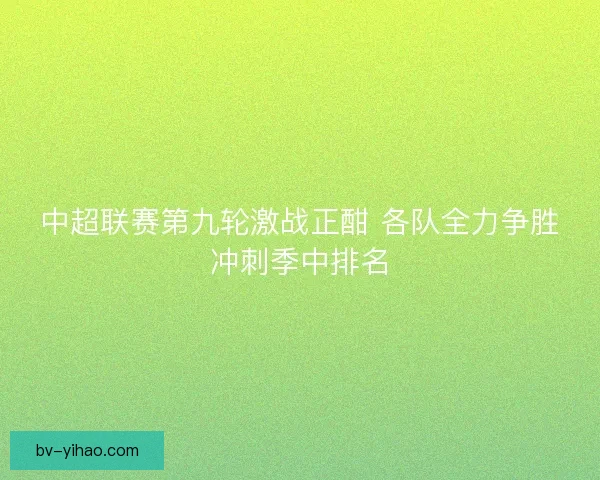 中超联赛第九轮激战正酣 各队全力争胜冲刺季中排名