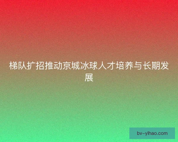 梯队扩招推动京城冰球人才培养与长期发展